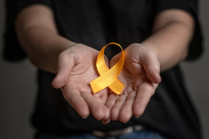 Aosta, un incontro pubblico mette al centro la prevenzione del suicidio