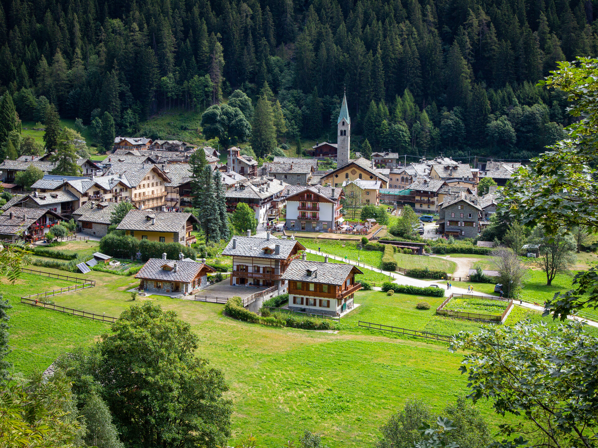 Gressoney