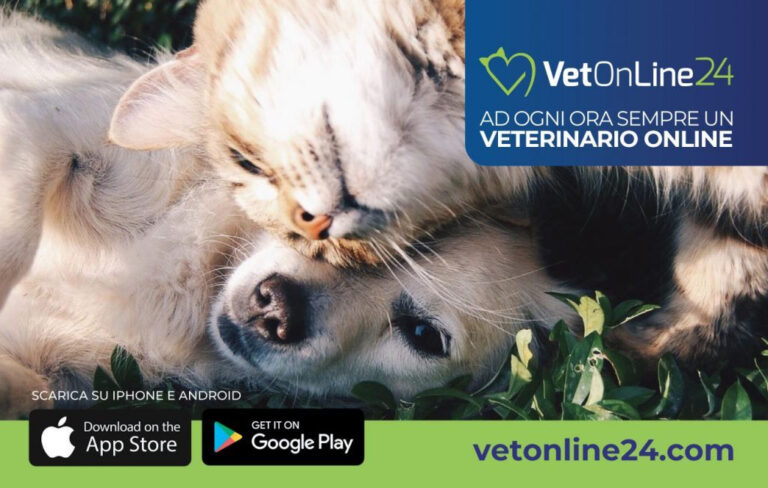 Animali: il consulto con il veterinario è ora in videochiamata, grazie a Vetonline24