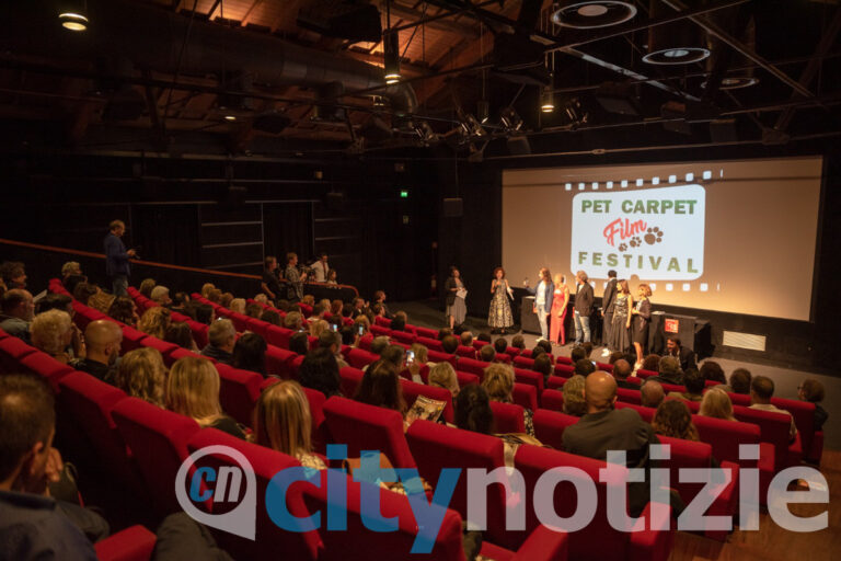 Pet Carpet Film Festival: l’appello del mondo dello spettacolo e del cinema contro l’abbandono degli animali su strada