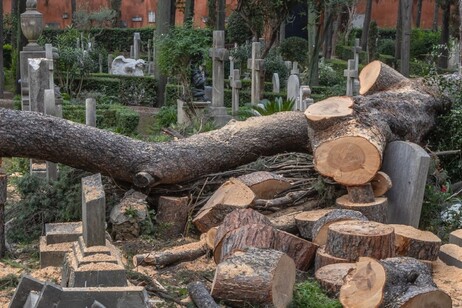 Chiusura temporanea del Cimitero Acattolico per gli Stranieri di Roma: preoccupazioni sulla sicurezza e necessità di interventi mirati