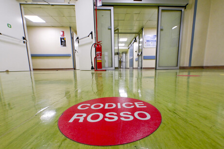 Trasferimento disperato in un diverso centro medico, ma purtroppo la vita della neonata non può essere salvata.