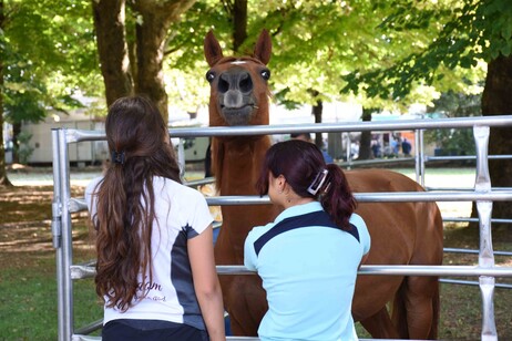 f8a93cbc5fb6f81f0c769e14951a09bd