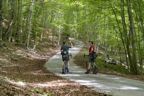 Centro di coordinamento Fiab-Regioni sulle ciclovie europee
