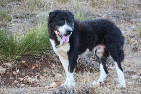 7c394fb0af15f03f10f6ef31df6bd3a2