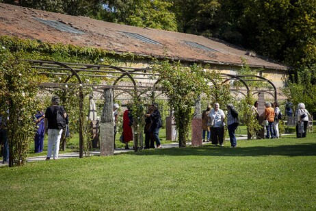 7cb58e7114dc3bd80606f1b20afa753a