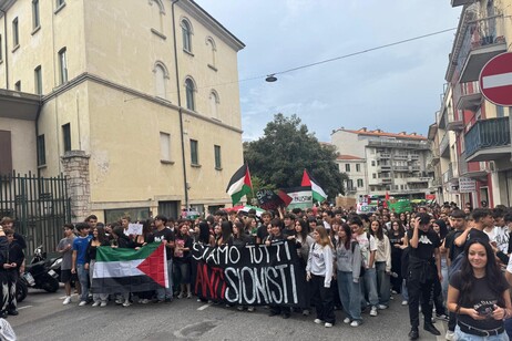 85b3bd7fda0c338bf7c5c289d461b501