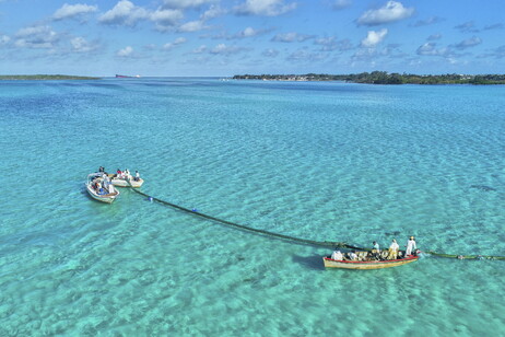 0c9dc2f81c37b160c39b0e8046c670d6