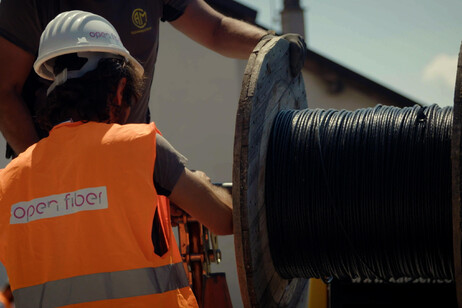 0d3e7faa8131281c5978dff7b0760e89