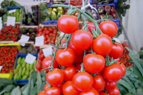 25fb1d650a262e3c2f05e6cde12d3a9a