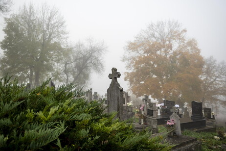 2f9db71cf268ea25752cd445c8df031d