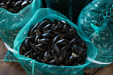 33d83ee5b1b267ce62eb1882907d011a