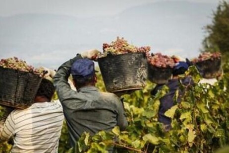 39f6d51baa50e19a8b38007f5712449b