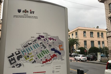 3ba3fc0f51b5a0df6e2cd0c63c6c7a52