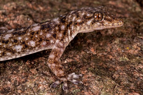 4a06d5b1b9c3e4075b377596b90fedd1