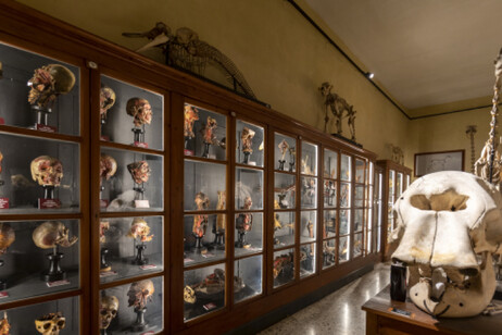 6bec6ea6ee7072da6ae75ec762cf335d