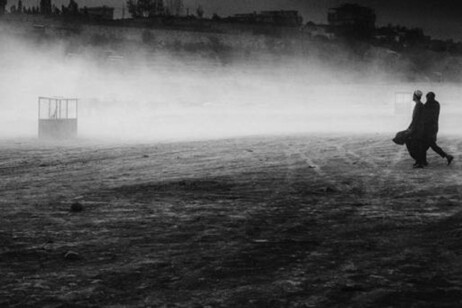 6c87c114a189ee480c08e7dc5f3da786