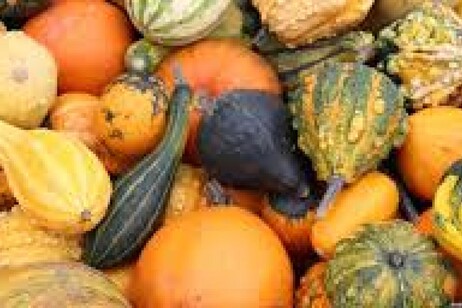 79455be7e513f557fab6f8a189396bff