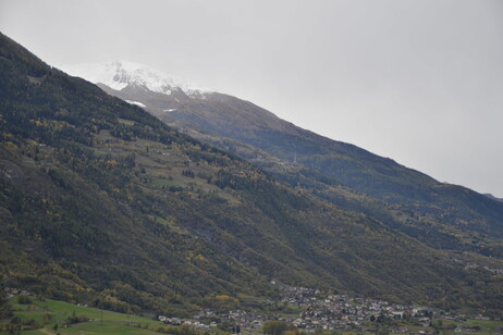 964dbe085706198e48db5aaa7c1dd00b