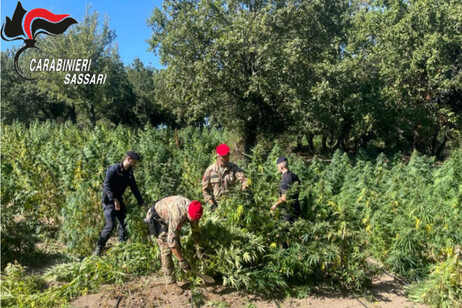 9fe53199bfbb65472b6c13b036ed0c4e