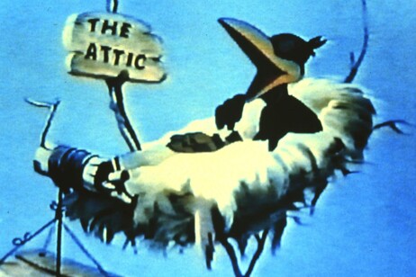 b26947b149aae8f98d03caeeb5870803