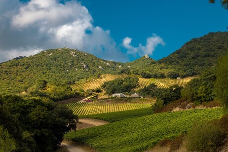 bb4c4580e8ee324a351653bfc3ea5fac