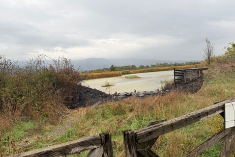 d68da2948643979b05234c03545f97d2