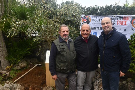 ea356c0614b0028e5f885ff4ffc1ad7c