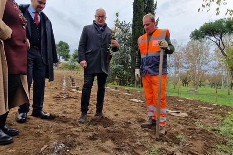 ea8e597d7e78583a32f0c7243004f0ae