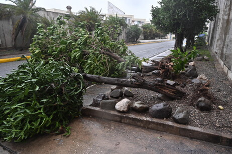 f6a20f8177830696a94dffc5672c8647