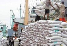 Riso contaminato: allarme agrofarmaci, la fiducia dei consumatori a rischio.