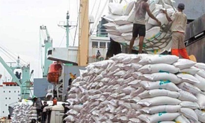 42984479_export-riso-asia-420x252