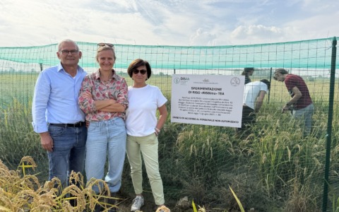 Haxhari_Brambilla_Bobba-480x300