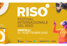 Risò: Festival Internazionale del Riso a Vercelli 2025