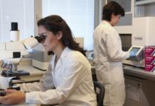 Asl TO4: Innovazione Cardiovascolare e Oltre, un Polo di Eccellenza