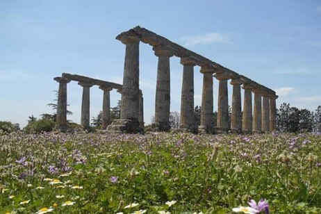 9445614dfb9e20459fe03f6069616261