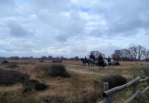 Carabinieri a cavallo: pattuglia la Baraggia Biellese