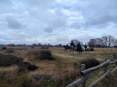 e8dece361e4d705d0c981b7d77ca643b